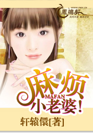 集梦小老婆开除