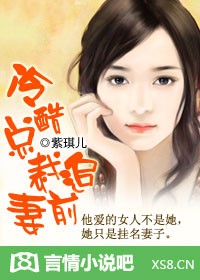 冷酷总裁追前妻的小说