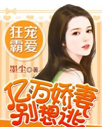亿万逃妻又要逃