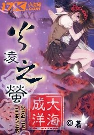 莹火之墓