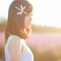蒲公英女人