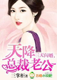 三天闪婚