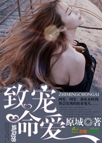 小说致命宠爱