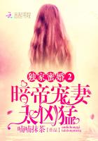 独家蜜婚2暗帝宠妻太凶猛 小说