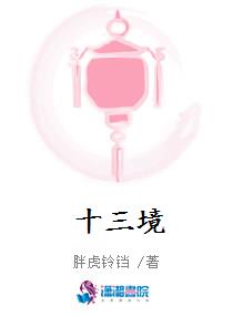 十三境
