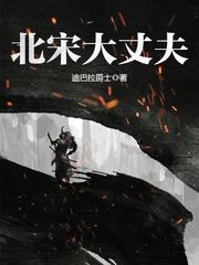 北宋大丈夫TXT免费下载