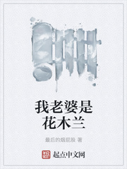 我老婆是花木兰小书
