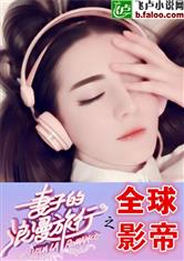 妻子的浪漫旅行之全球影帝