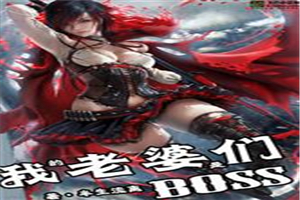 我的老婆们是BOSS第八区