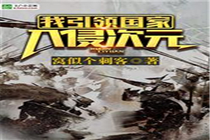 我引领国家入侵次元