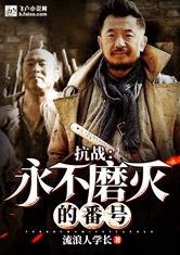 超级抗战永不磨灭的小说