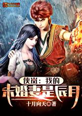 侠岚:我的未婚妻是辰月小说