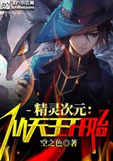 精灵次元:从天王开始