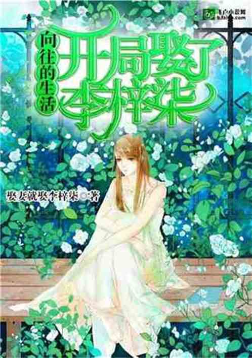 向往的生活：开局娶了子柒姑娘