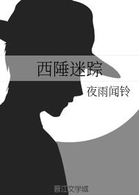 西陲迷踪