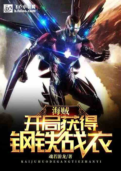 海贼：开局获得钢铁战衣