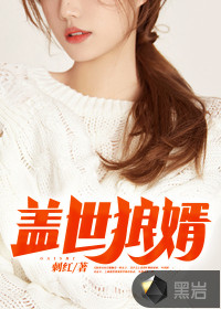 盖世龙婿 小说