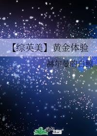 【综英美】黄金体验
