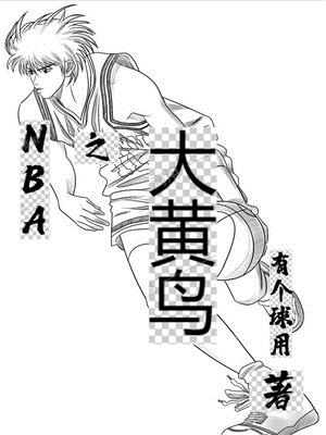 nba之大黄鸟wolai