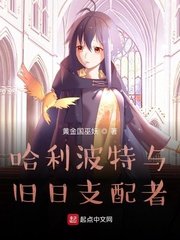 哈利波特与旧日支配者 第1章