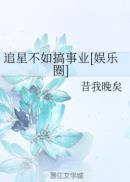 第四本:《追星不如追经纪人》作者:漫无踪影