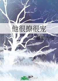 他很撩很宠藤萝为枝