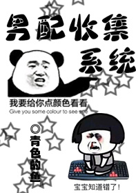 男配收集系统小说免费