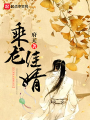 乘龙佳婿txt 府天