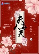 夫人每天都被套路百度网盘