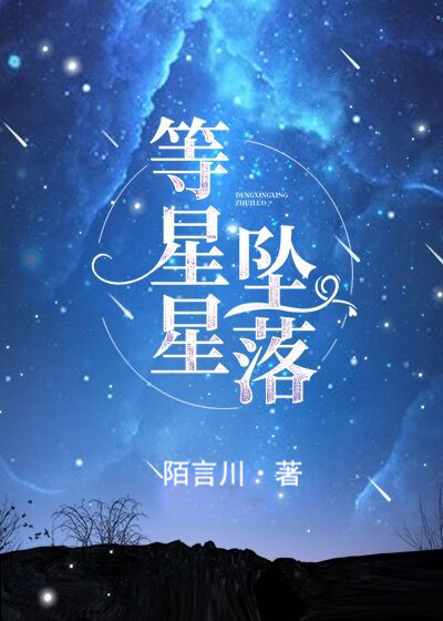 等星星坠落TXT小说免费下载
