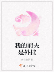 我的前夫是总裁