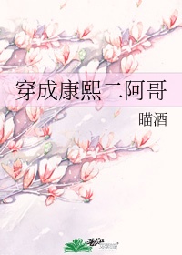 穿成康熙二阿哥(瞄酒)
