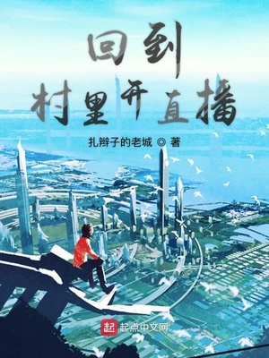 回到村里开直播TXT