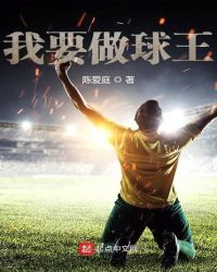 我要做球王 小说起点