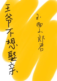王爷不想娶亲 百度网盘