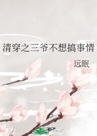 清穿三部曲是哪三部