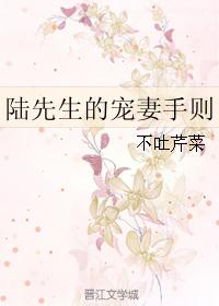 陆先生的宠婚