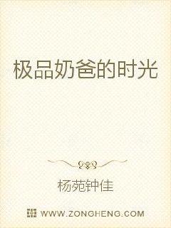 极品奶爸的时光