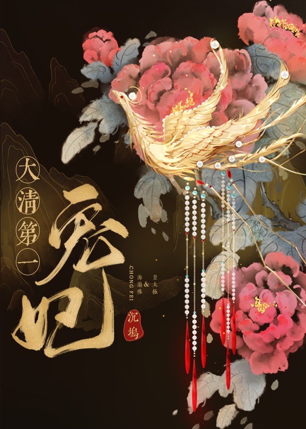 宸妃是什么
