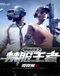 绝地求生之禁服王者百度网盘资源下载