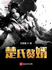 楚氏赘婿TXT下载