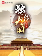 独治大明精校版下载