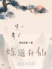 炼道升仙小说