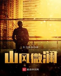 山风微澜 顶点小说