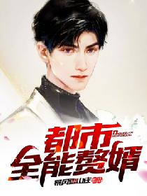 都市全能赘婿百度百科