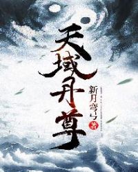 天域丹尊下载